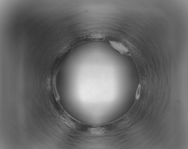X0000076400556200610060932