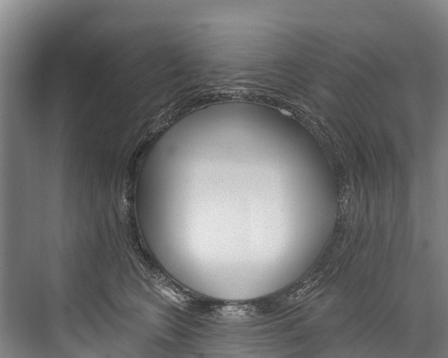 X0000076400566200610060932