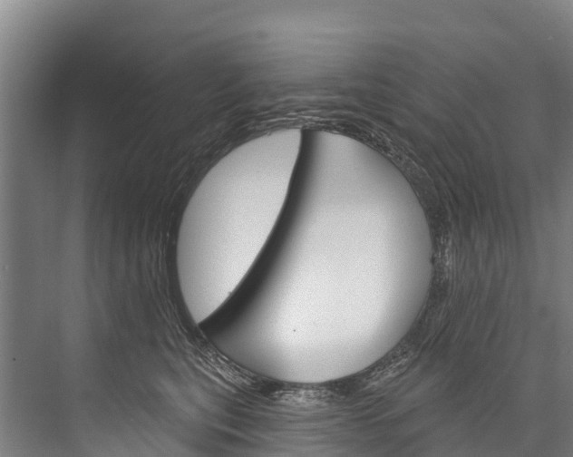 X0000076400567200610060932