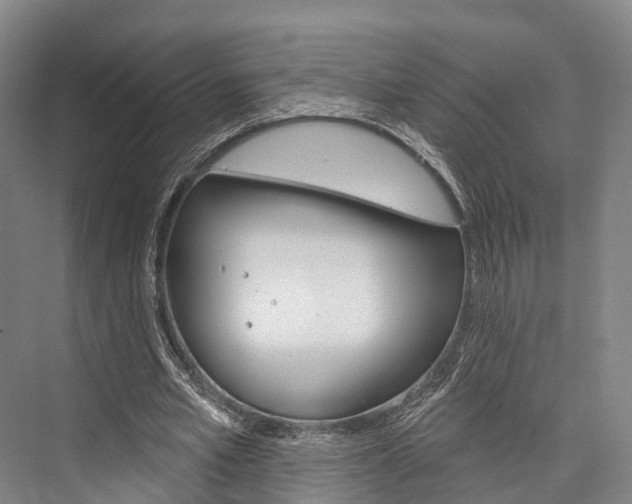X0000076400581200610060932