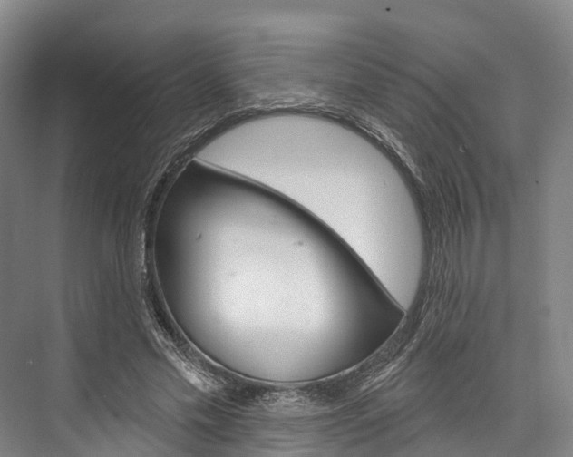 X0000076400589200610060932