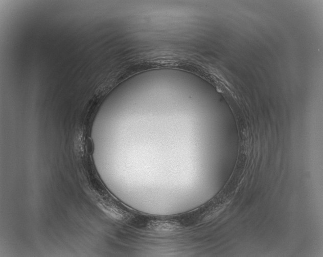 X0000076400597200610060931