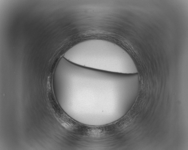 X0000076400598200610060931