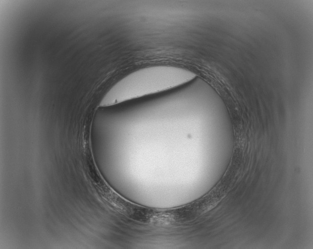 X0000076400599200610060931