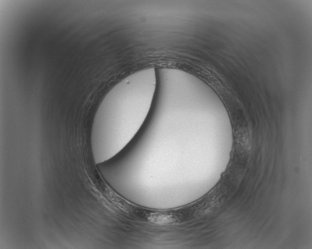 X0000076400602200610060931
