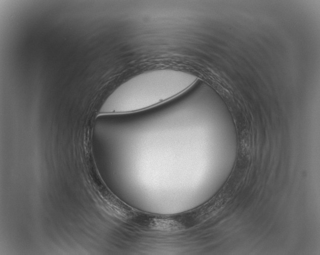 X0000076400605200610060931
