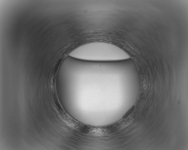 X0000076400611200610060931