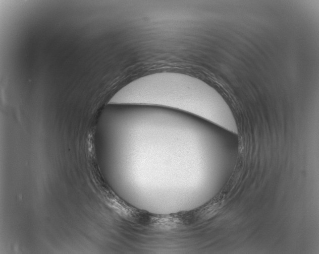 X0000076400621200610060931