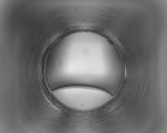 X0000076400627200610060930