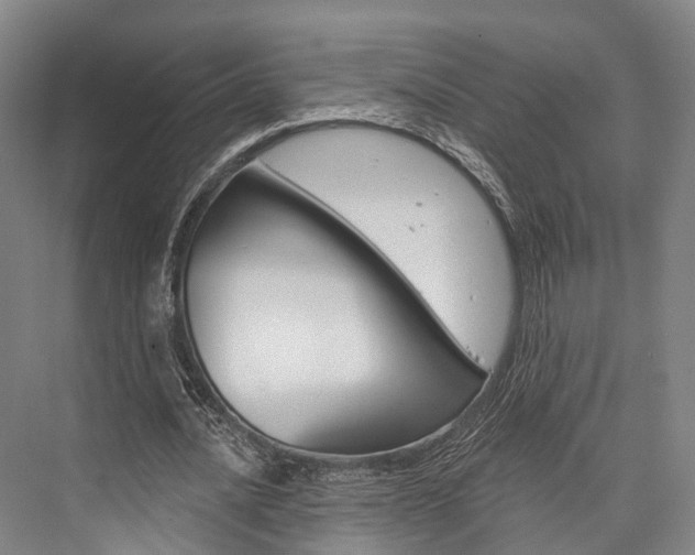 X0000076400628200610060930