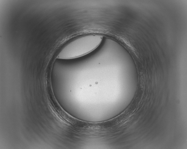 X0000076400631200610060930