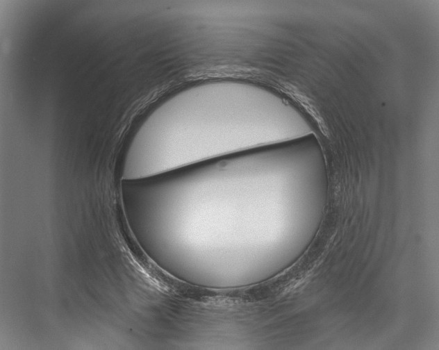 X0000076400633200610060930