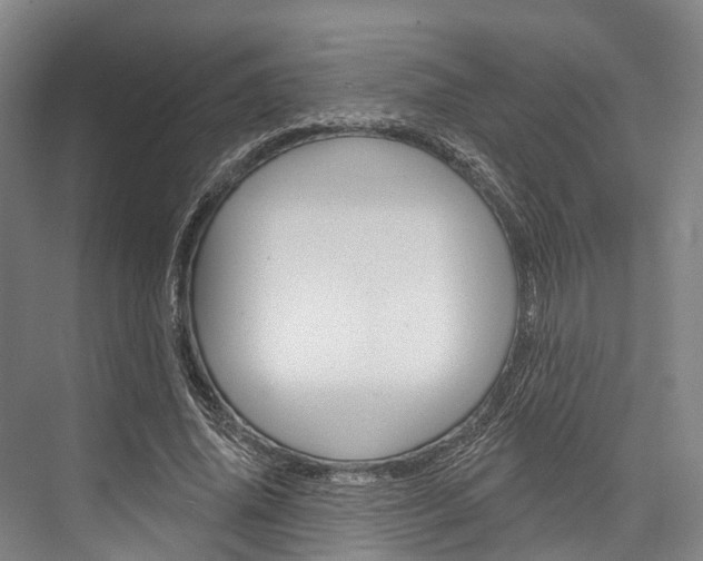 X0000076400636200610060930