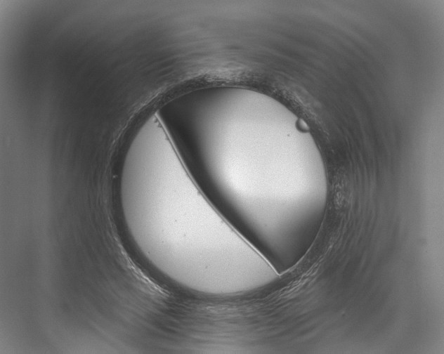 X0000076400637200610060930
