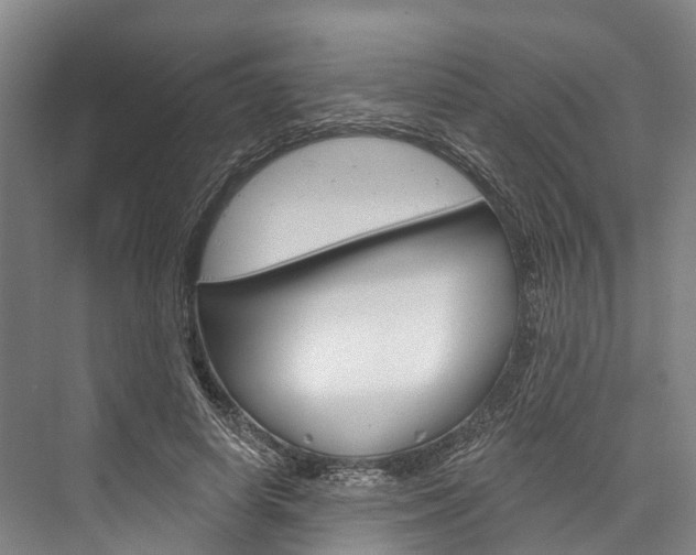 X0000076400642200610060930