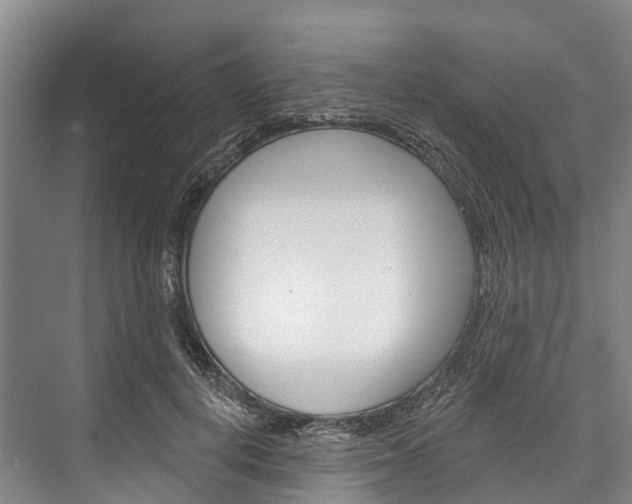 X0000076400648200610060931