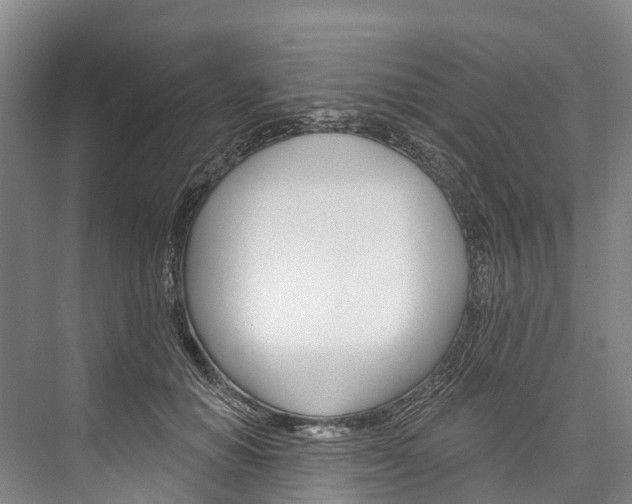 X0000076400654200610060931