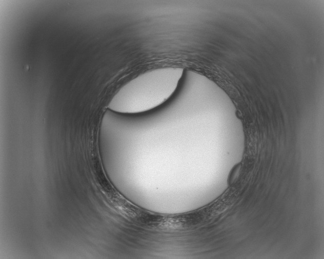 X0000076400656200610060931