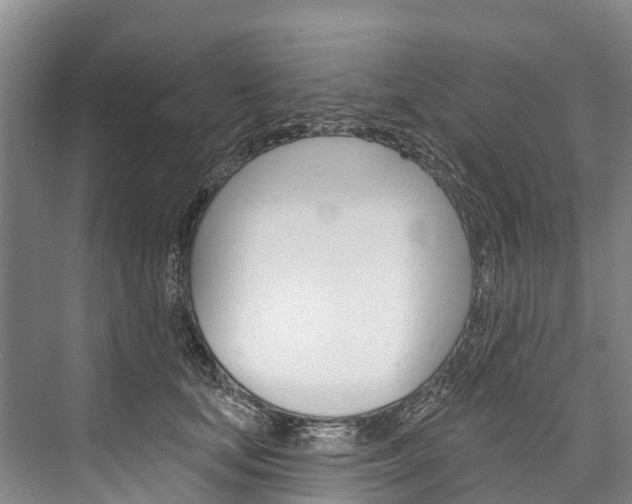 X0000076400659200610060931