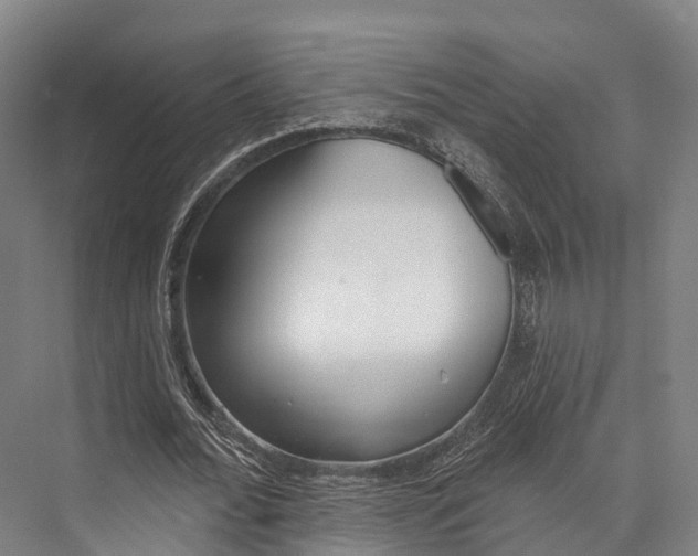 X0000076400676200610060930