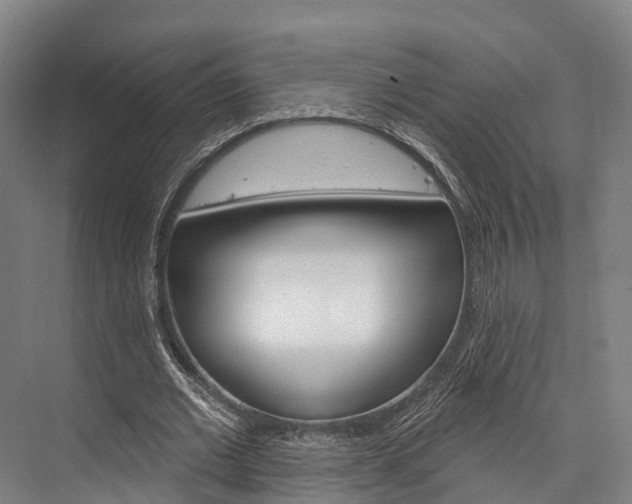 X0000076400677200610060930