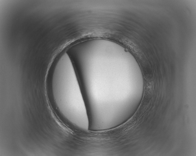 X0000076400678200610060930