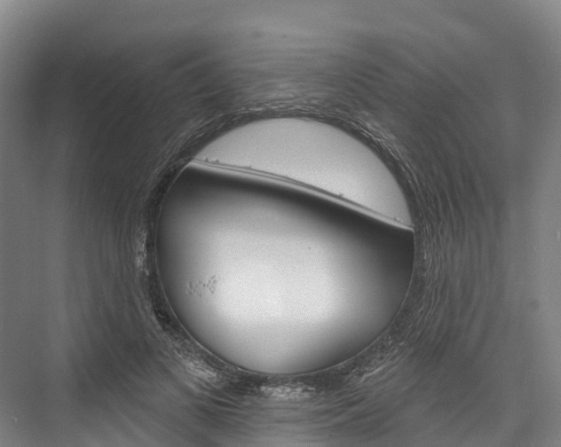 X0000076400693200610060930