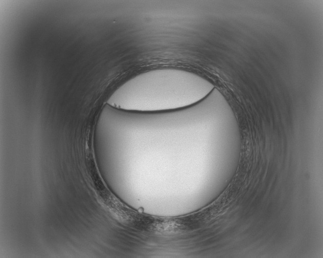 X0000076400695200610060930