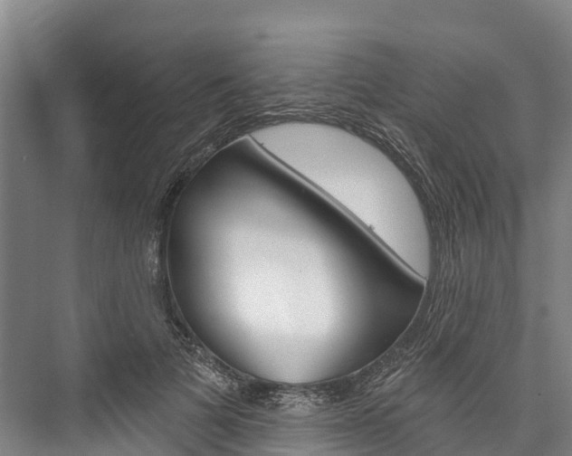 X0000076400697200610060930