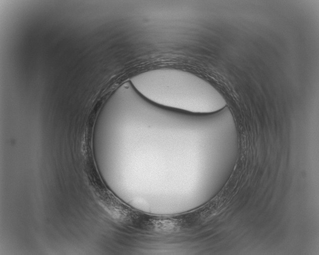 X0000076400698200610060930