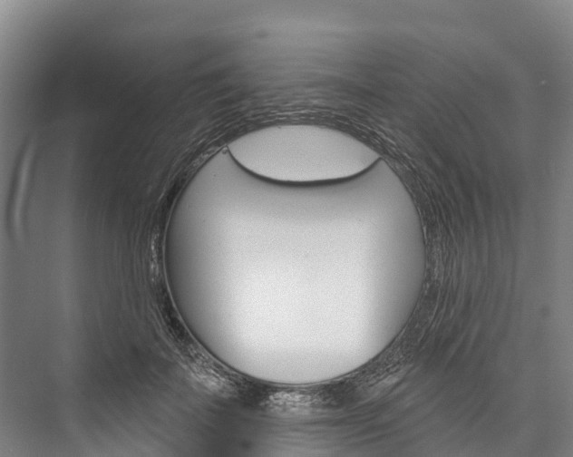 X0000076400699200610060930