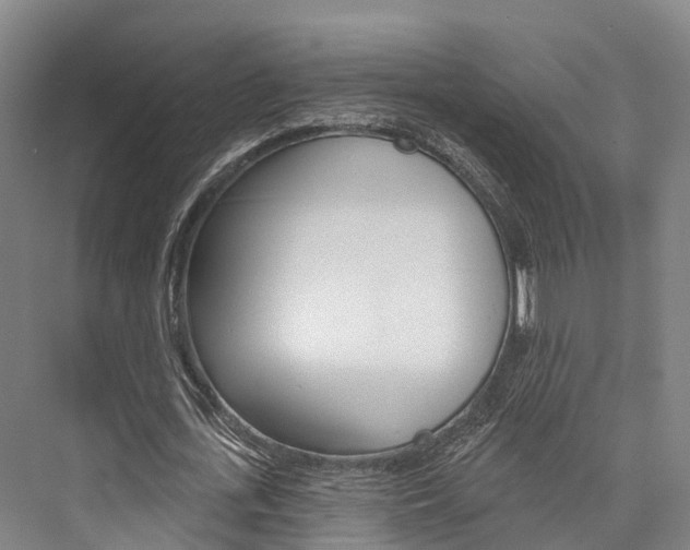 X0000076400723200610060929