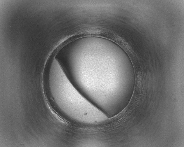 X0000076400726200610060929