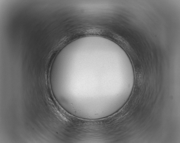 X0000076400729200610060929