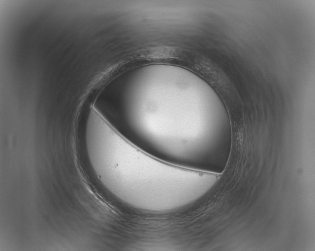 X0000076400732200610060929