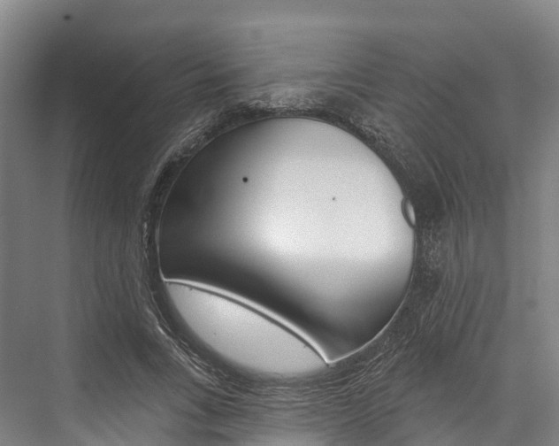 X0000076400735200610060929