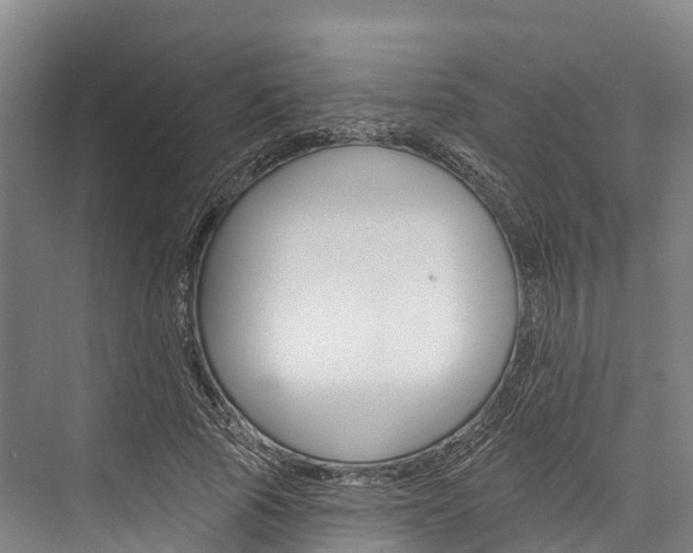 X0000076400737200610060929