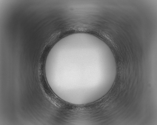 X0000076400738200610060929