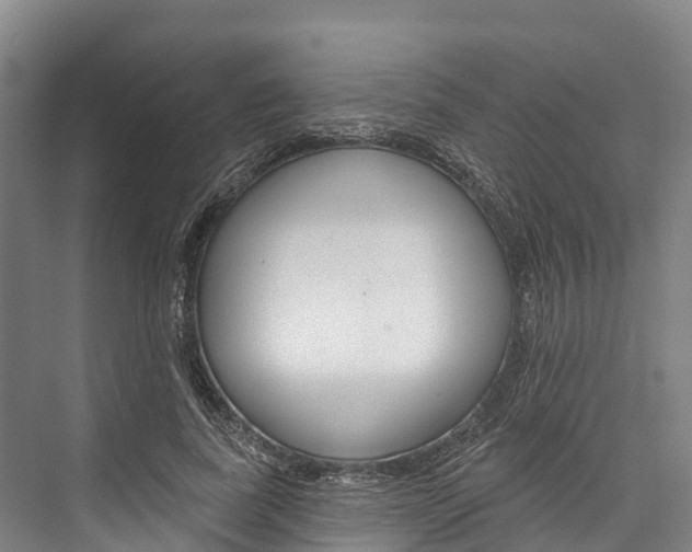 X0000076400739200610060929