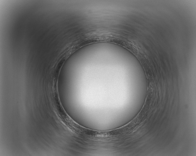 X0000076400744200610060929