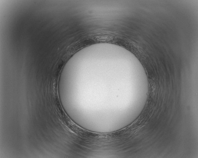 X0000076400745200610060929