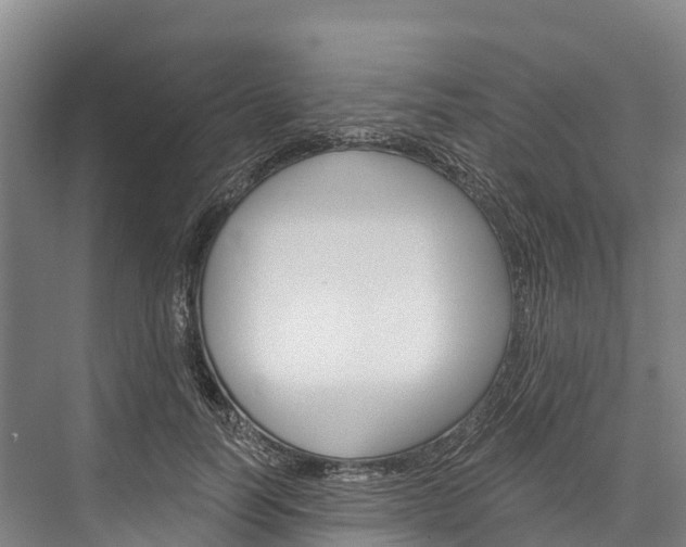 X0000076400746200610060929