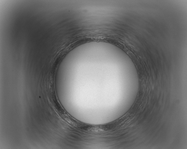 X0000076400747200610060929