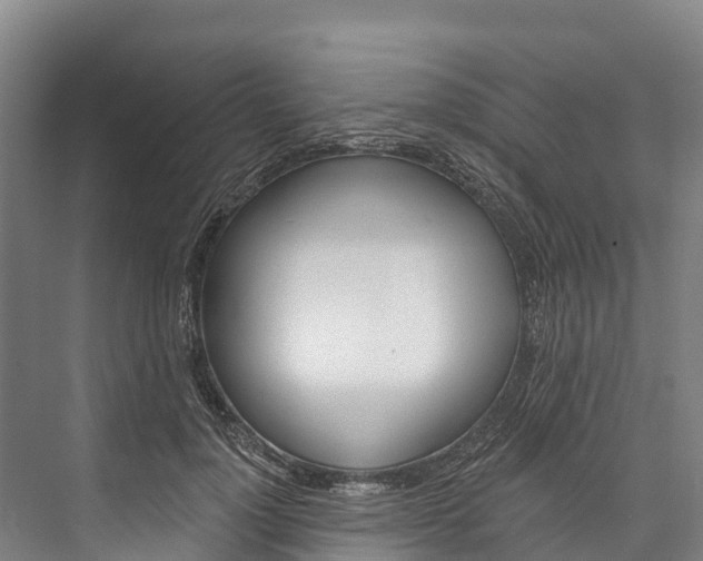 X0000076400748200610060929