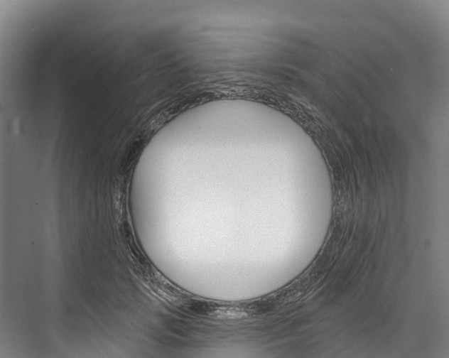 X0000076400749200610060929