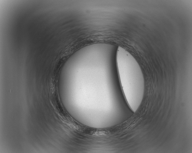 X0000076400751200610060929