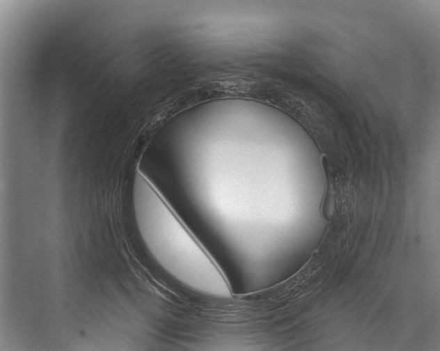 X0000076400752200610060929