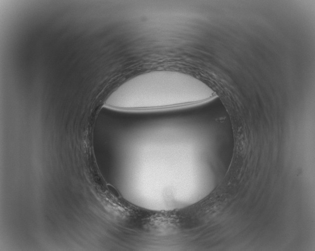 X0000076400756200610060929