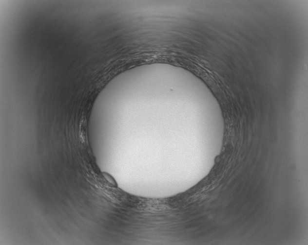 X0000076400770200610060928