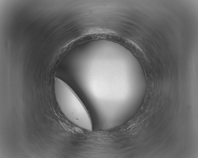 X0000076400775200610060928